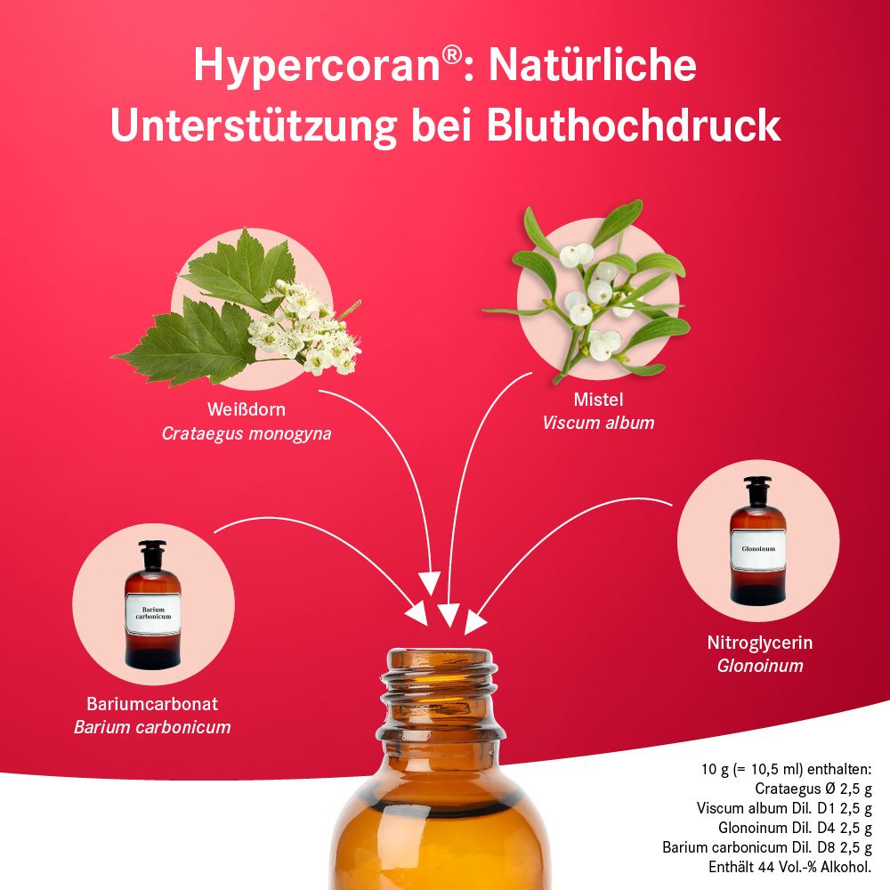 Hypercoran® Tropfen natürliches Herzmittel bei Bluthochdruck u.a. mit Weißdorn und Mistel