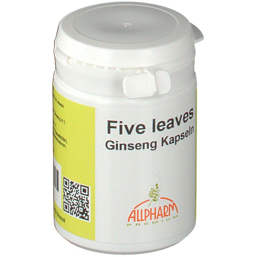 Weiße Dose mit gelbem Etikett. Aufschrift: Five leaves, Ginseng Kapseln, ALLPHARM PREMIUM. QR-Code.