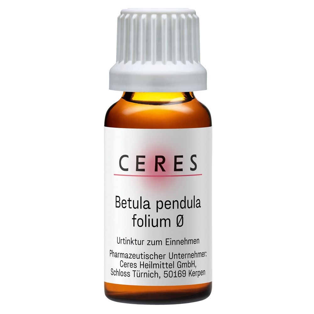 Ceres Betula pendula folium Urtinktur 20 ml Tropfen zum Einnehmen