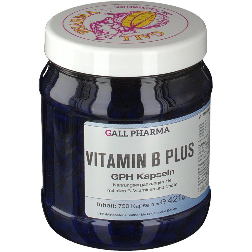Hecht Vitamin B Plus GPH