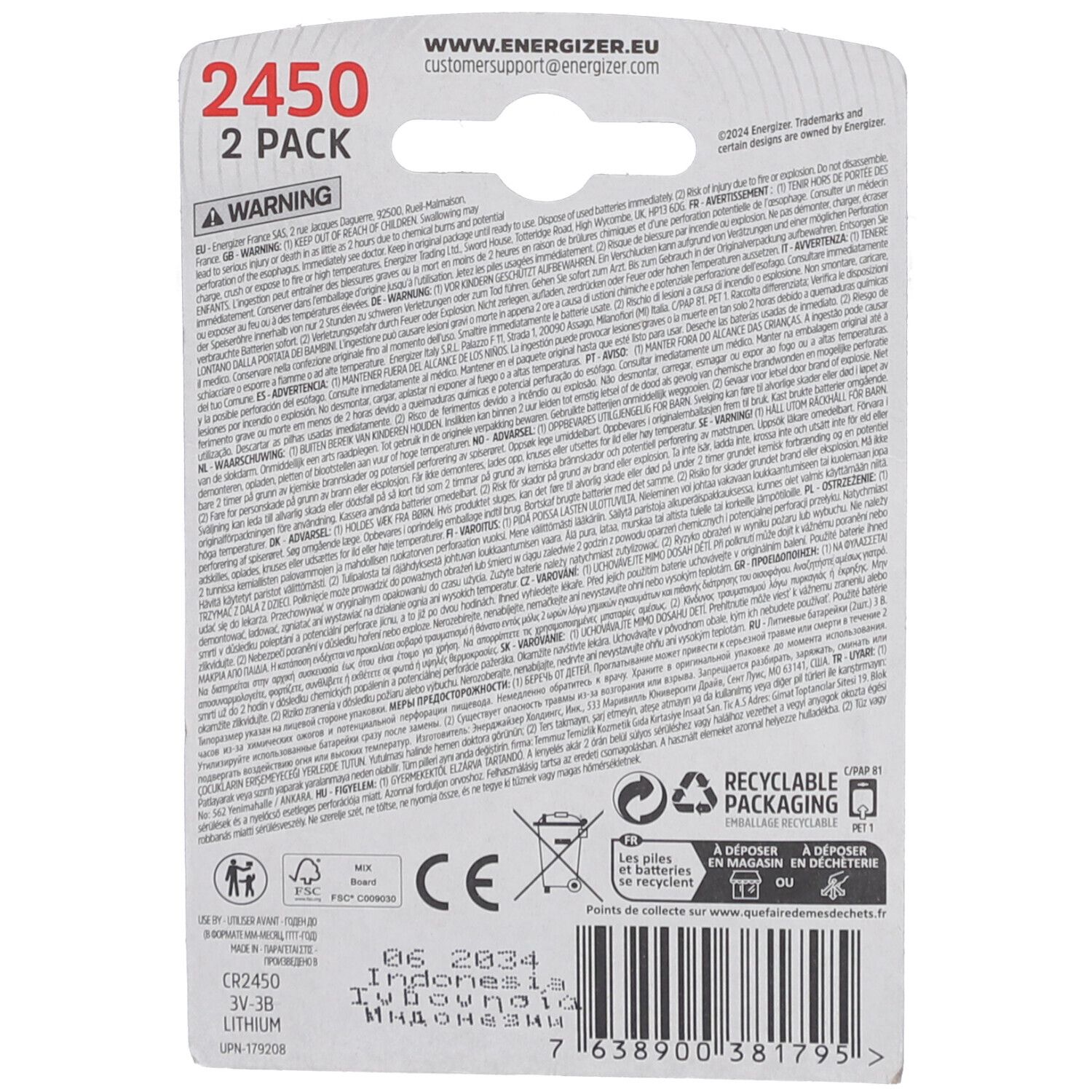 Rückseite der Blisterverpackung mit Informationen. "2450 2 PACK" und CE-Kennzeichnung sind sichtbar.