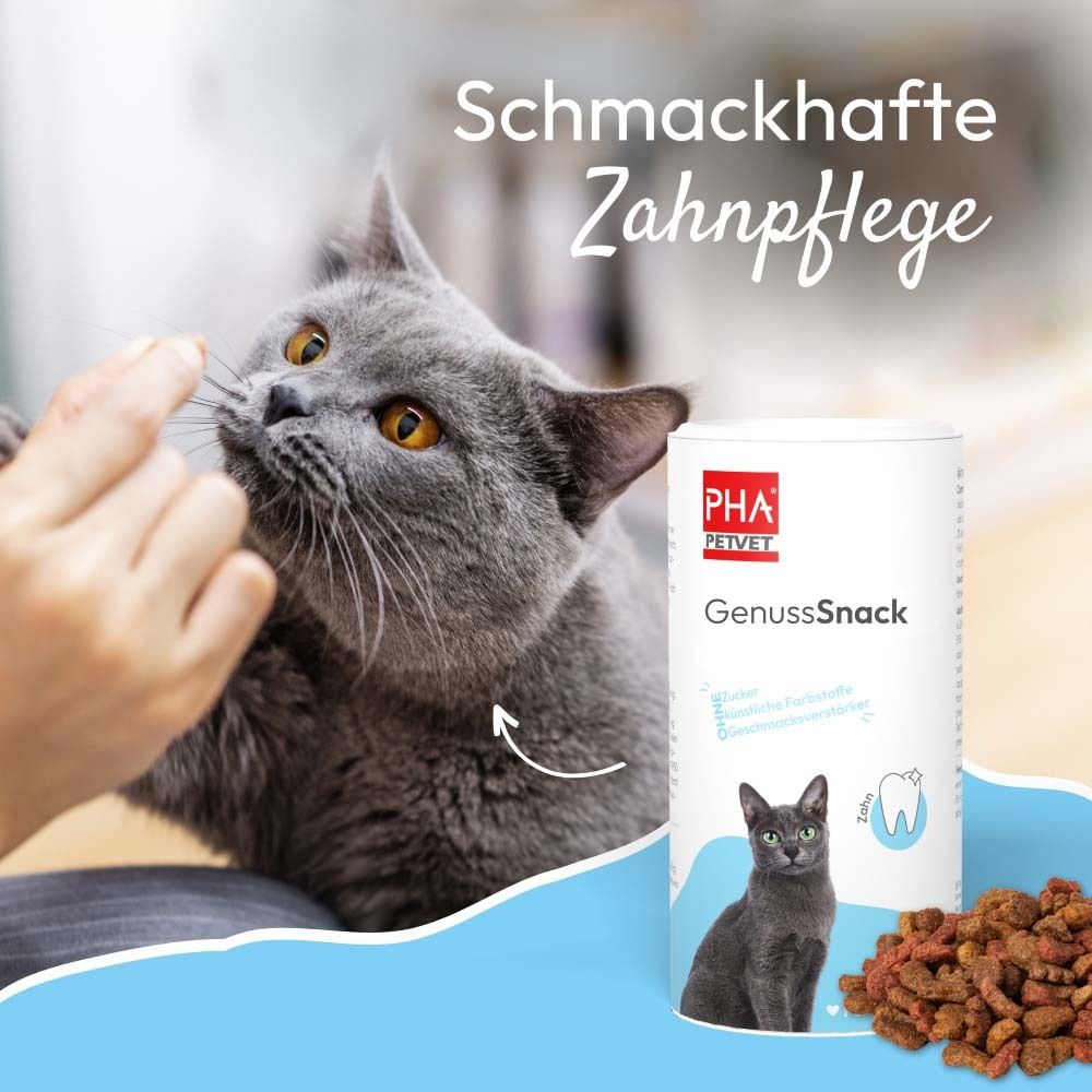 Katze bekommt Snack. Dose PHA GenussSnack im Hintergrund. Leckerlis auf blauem Untergrund.