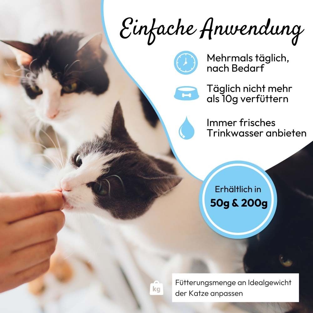 Mehrere Katzen werden mit Leckerlis gefüttert. Text: Einfache Anwendung. Erhältlich in 50g & 200g. Fütterungsmenge an Idealge.