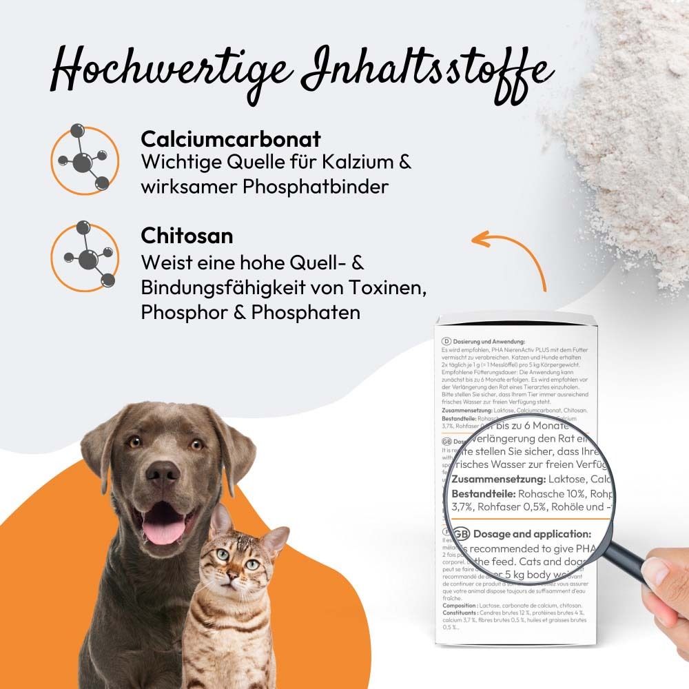 Illustration mit Text über Inhaltsstoffe. Abbildung von Hund und Katze. Lupe auf Text.