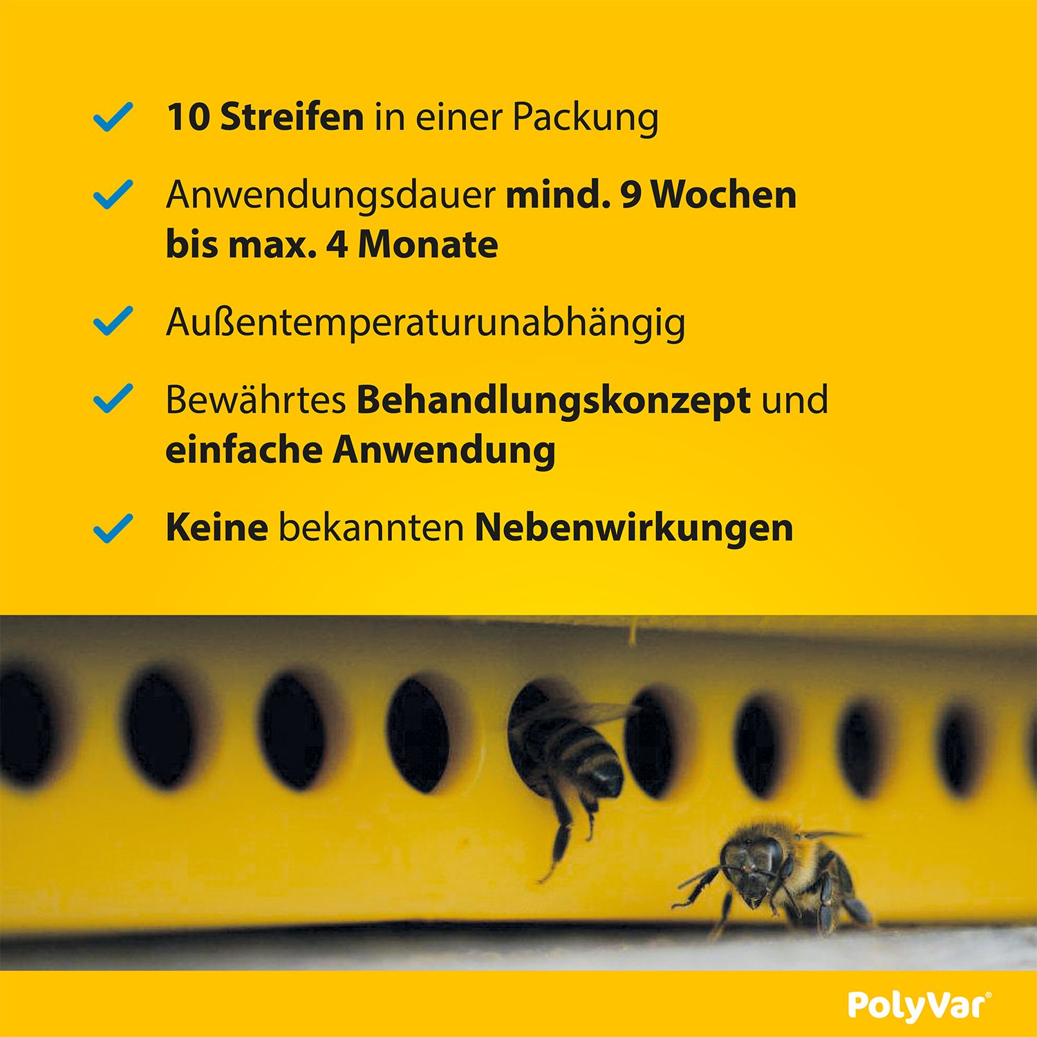 Infografik: 10 Streifen pro Packung. Anwendungsdauer mind. 9 Wochen bis max. 4 Monate. Keine Nebenwirkungen.