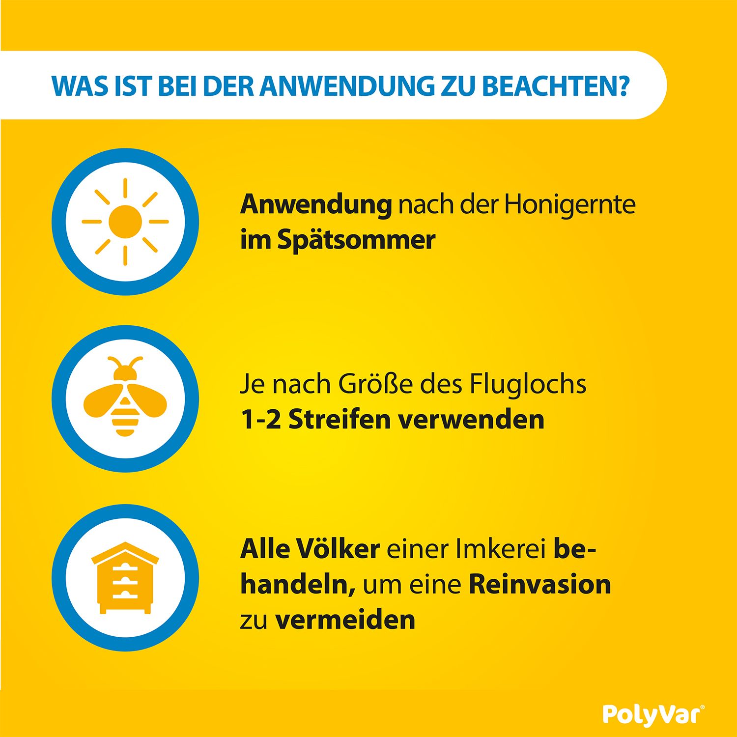 Infografik: Anwendung nach der Honigernte. 1-2 Streifen verwenden. Alle Völker behandeln, um eine Reinvasion zu vermeiden.