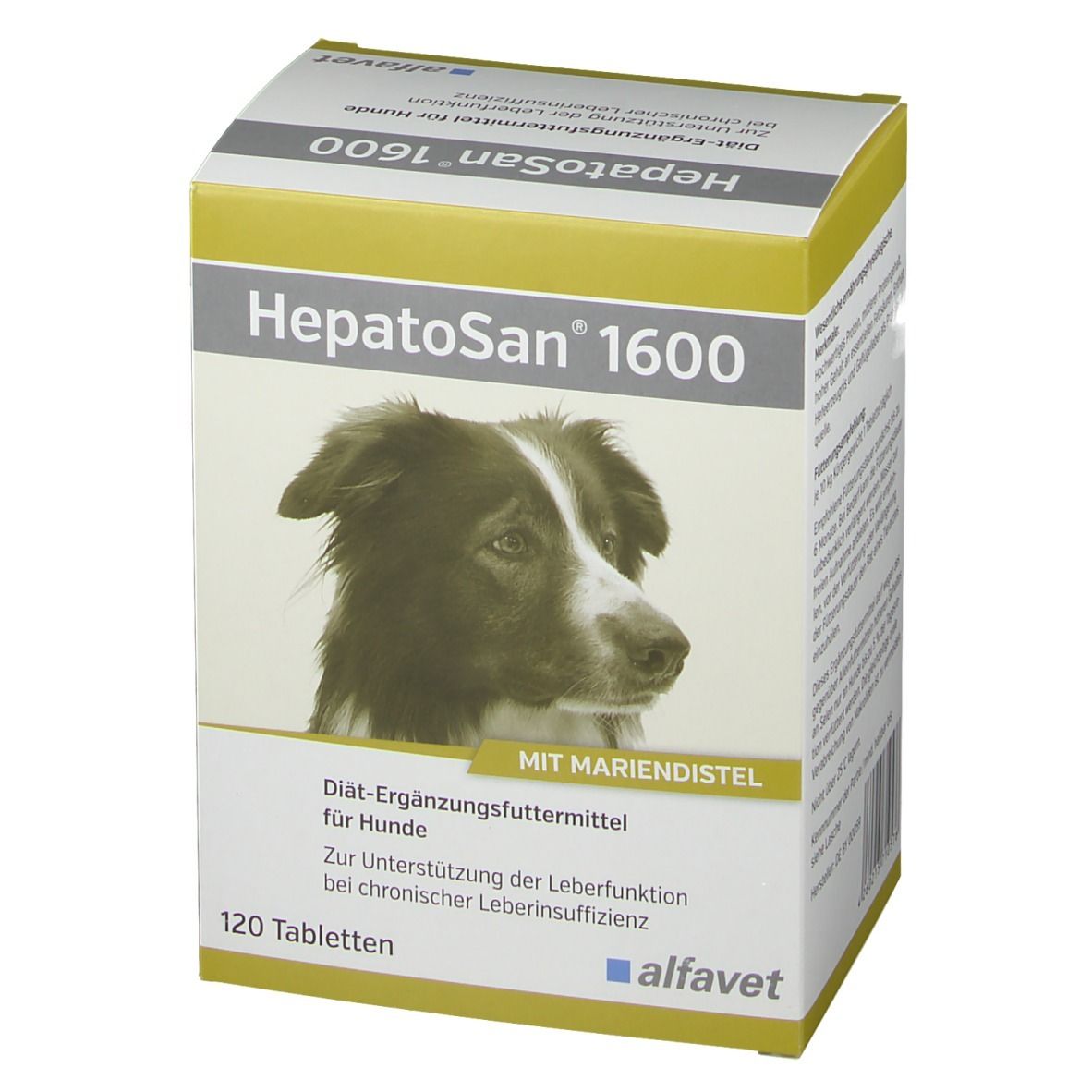 HepatoSan® 1600-Box. Vorderansicht mit Hund, Mariendistel, 120 Tabletten. Marke alfavet.