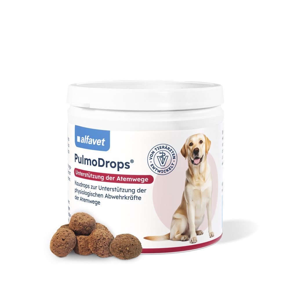 Alfavet PulmoDrops, Ergänzungsfuttermittel für Hunde, Dose mit Hund und mehreren Drops.