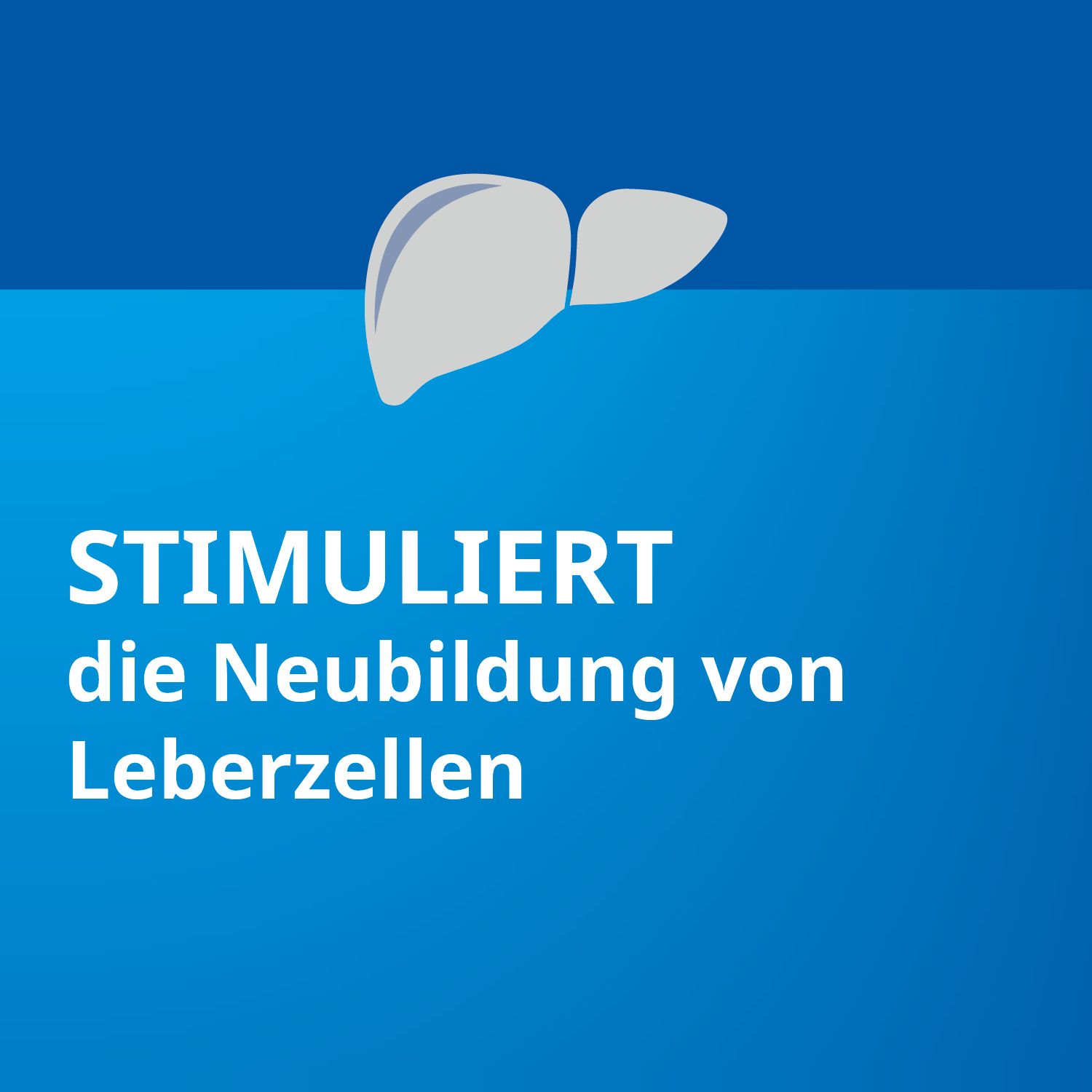 Silymarin STADA® forte, bei chronisch-entzündlichen Lebererkrankungen, Leberzirrhose und toxischen Leberschäden