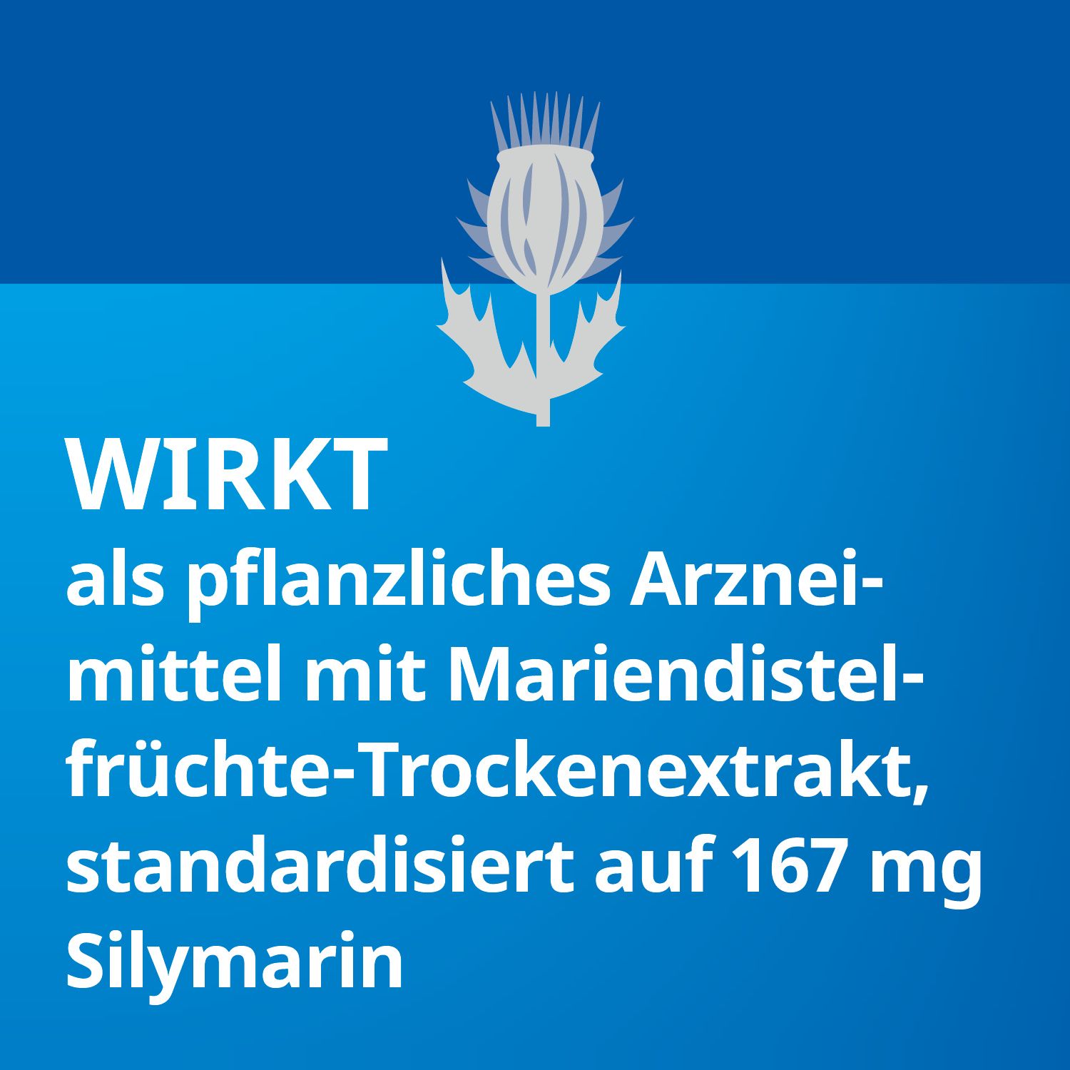 Silymarin STADA® forte, bei chronisch-entzündlichen Lebererkrankungen, Leberzirrhose und toxischen Leberschäden