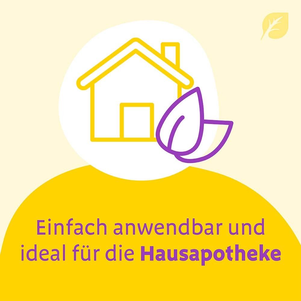 Gelber Hintergrund mit Haus-Symbol und Blatt. Text: Einfach anwendbar und ideal für die Hausapotheke.