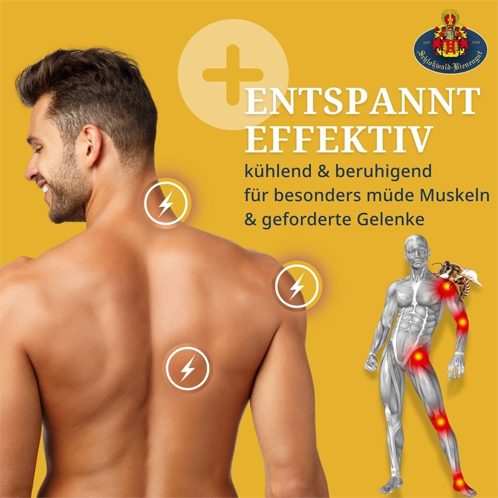 Mann mit Rückenansicht, auf den Schultern und Gelenken sind Blitzsymbole. Daneben anatomische Darstellung des Körpers.