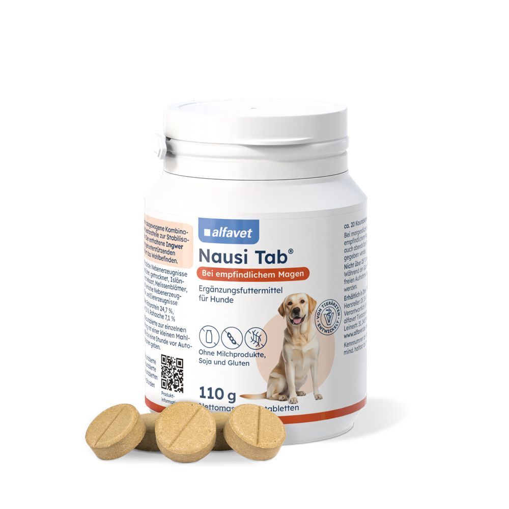 Nausi Tab Erg.Futterm.Kautabletten f.Hunde 110 g Kautabletten
