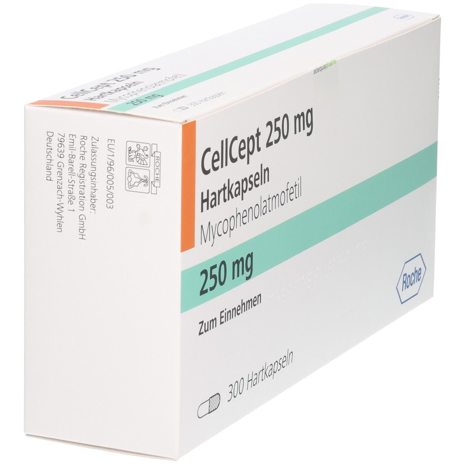 Cellcept 250 mg Hartkapseln Verpackung mit 300 Kapseln, Rückseite mit Zulassungsinformationen.