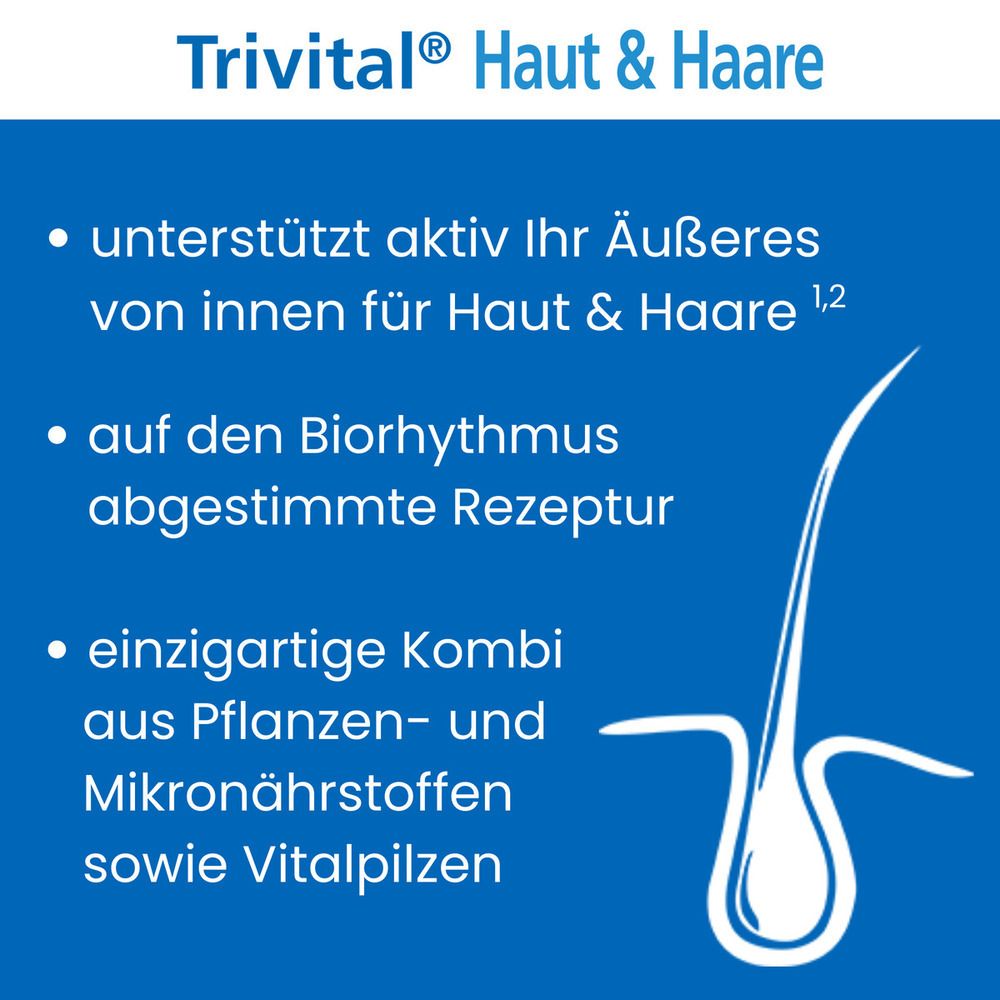 Text mit Aufzählungspunkten. Beschreibt Vorteile für Haut und Haare, Rezeptur und Vitalpilze.