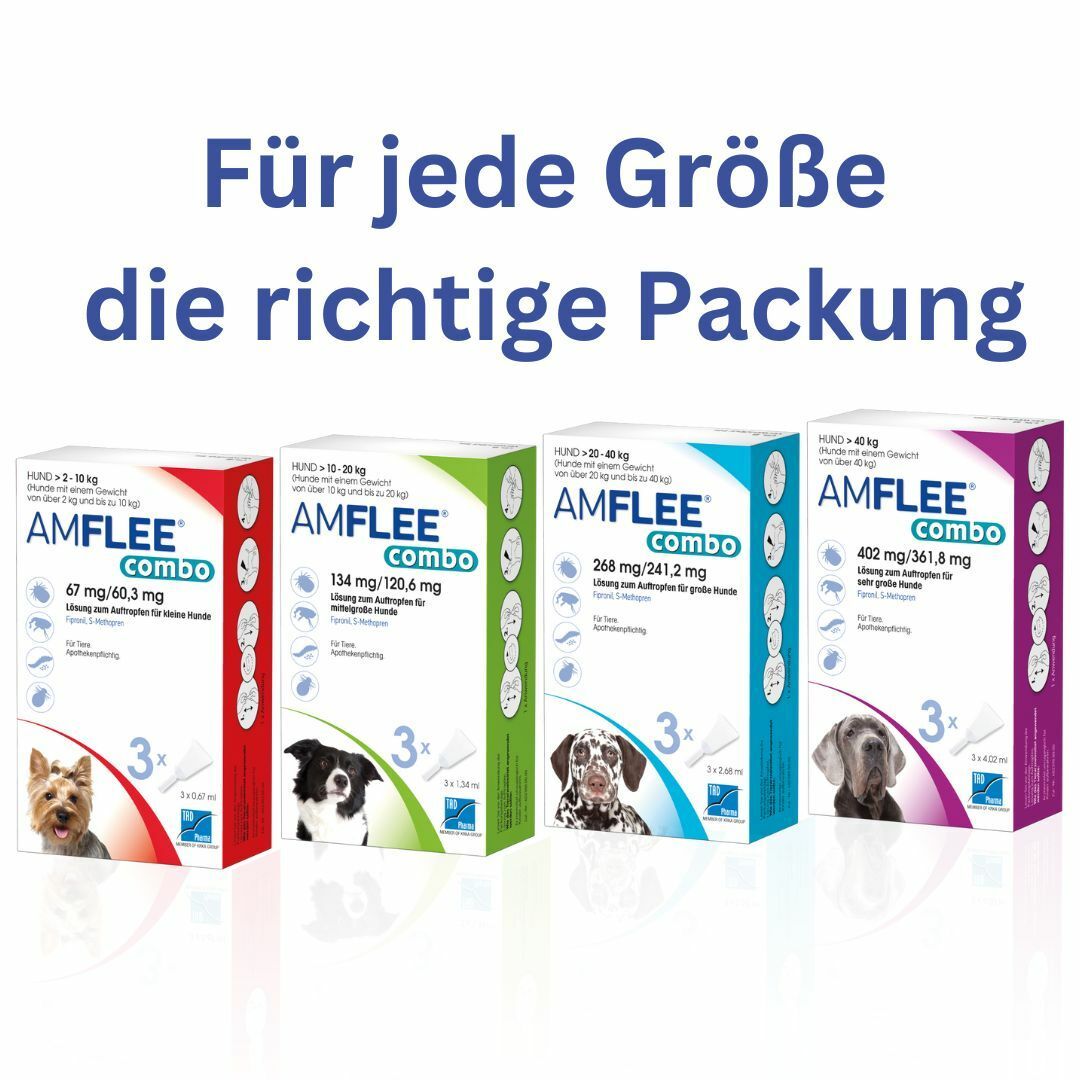 Amflee® combo 268 mg/241,2 mg für große Hunde