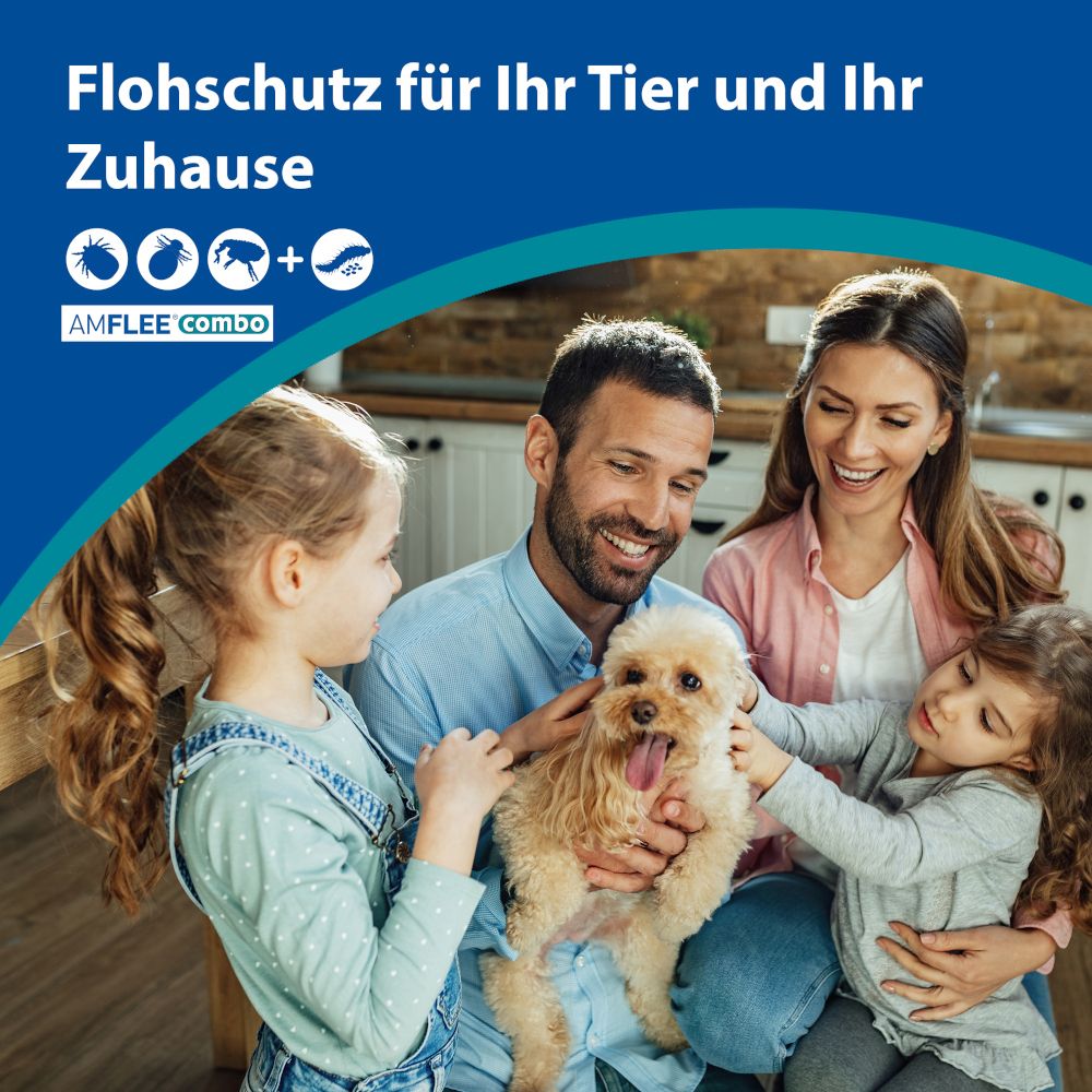 Amflee combo 402/361,8 mg Lösung zum Auftropfen für Hunde über 40 kg