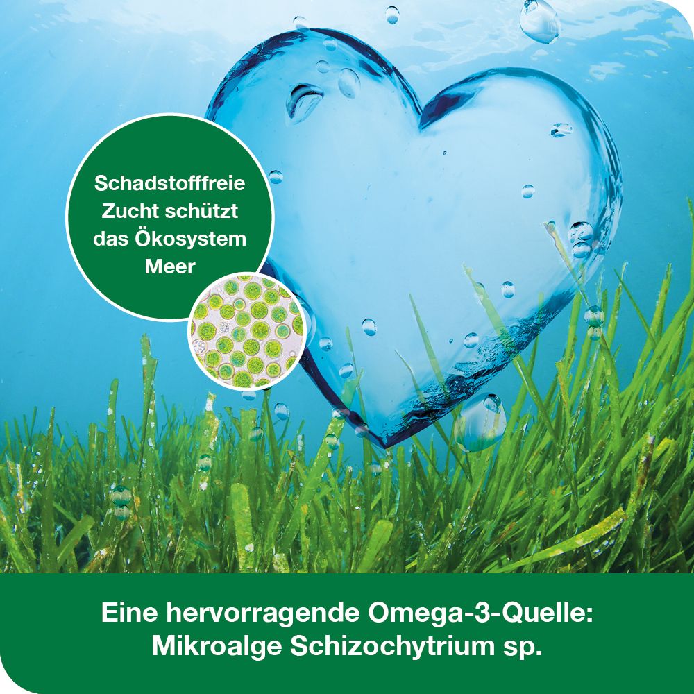 OMEGA3-Loges pflanzlich Kapseln