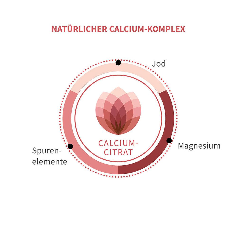 Kreisförmige Grafik mit den Elementen Calcium-Citrat, Spurenelemente, Jod und Magnesium. Rote Farbgebung.