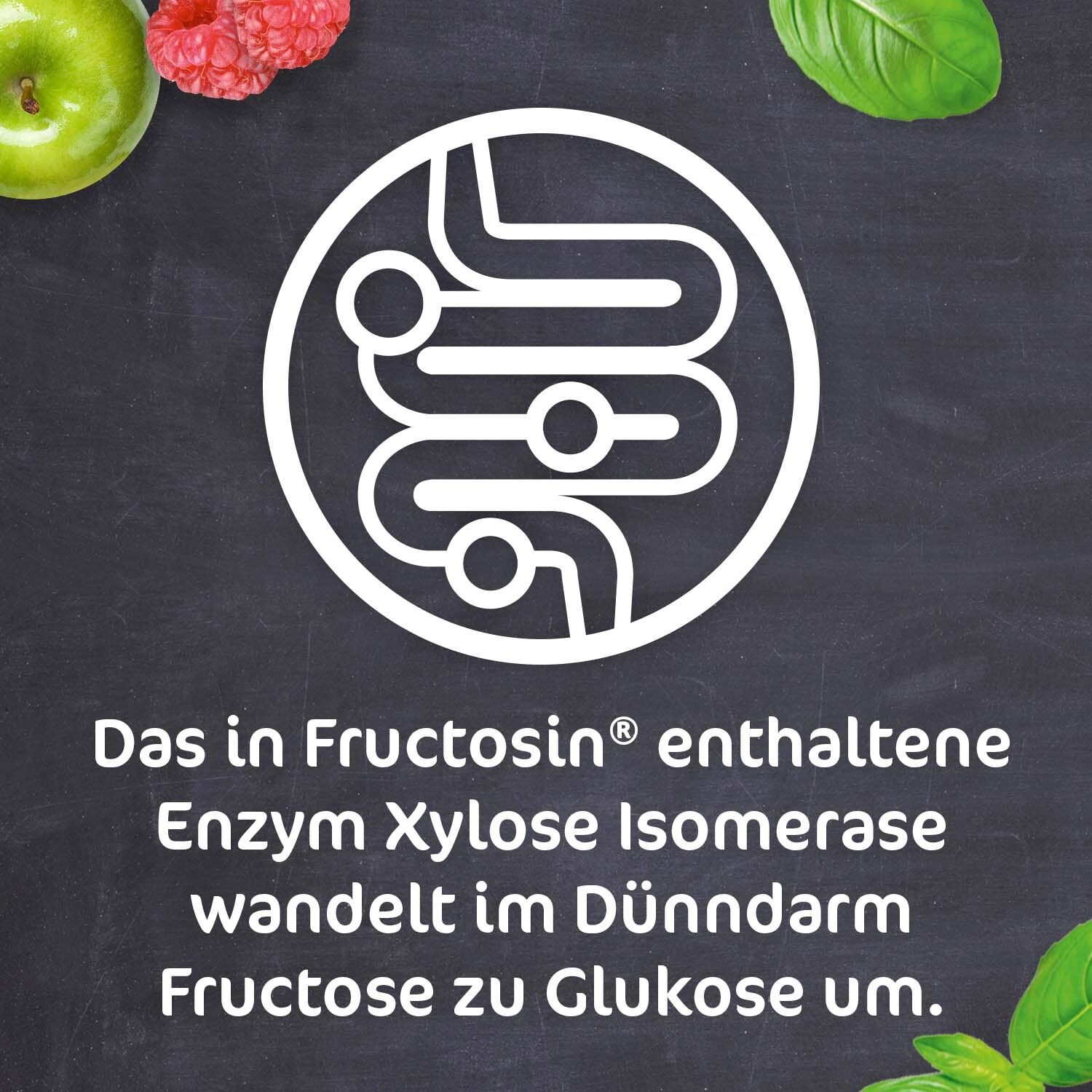 FRUCTOSiN® - zur Linderung von durch Fruktosemalabsorption bedingten Verdauungsbeschwerden