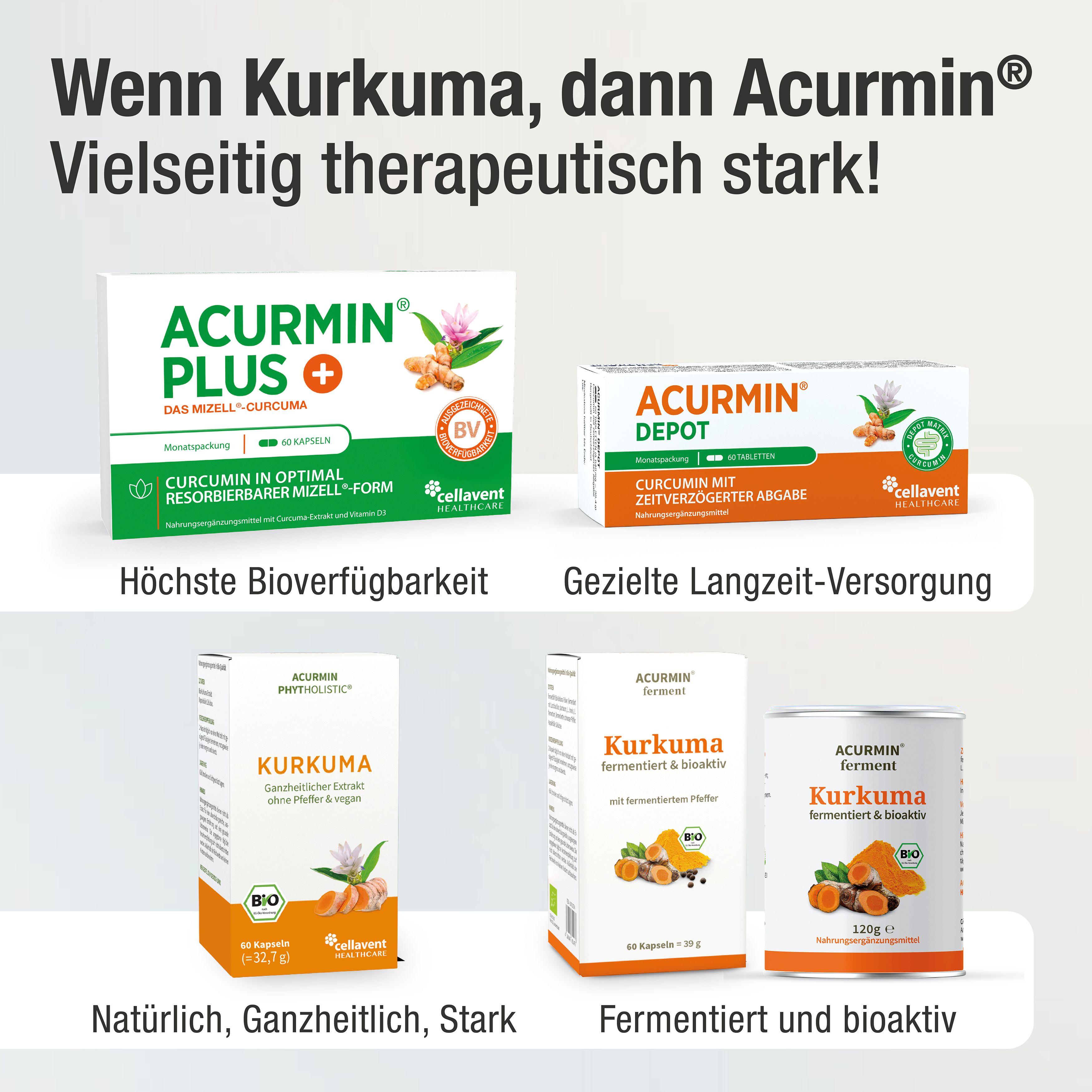 Acurmin Phytholistic® - Bio Kurkuma