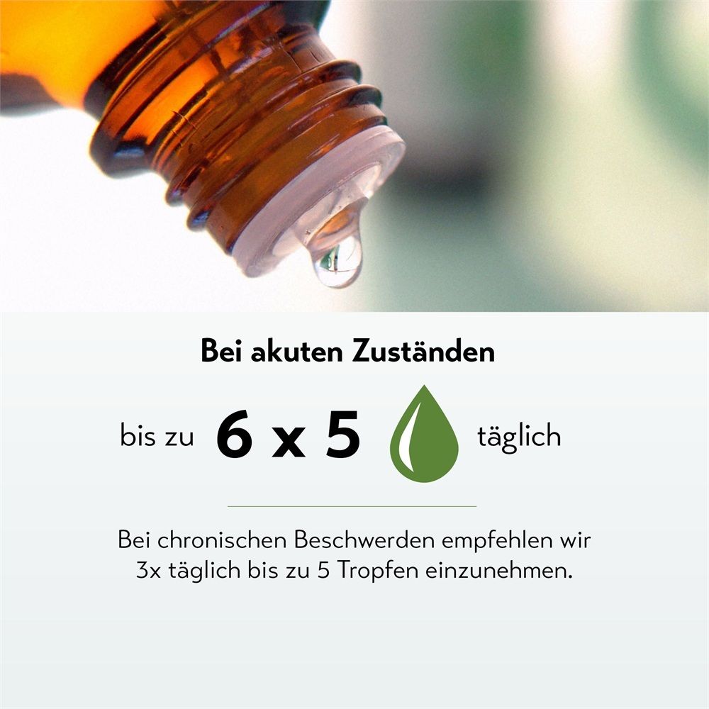 Tropfen aus einer Braunglasflasche. Dosierung: Bis zu 6x 5 Tropfen täglich.