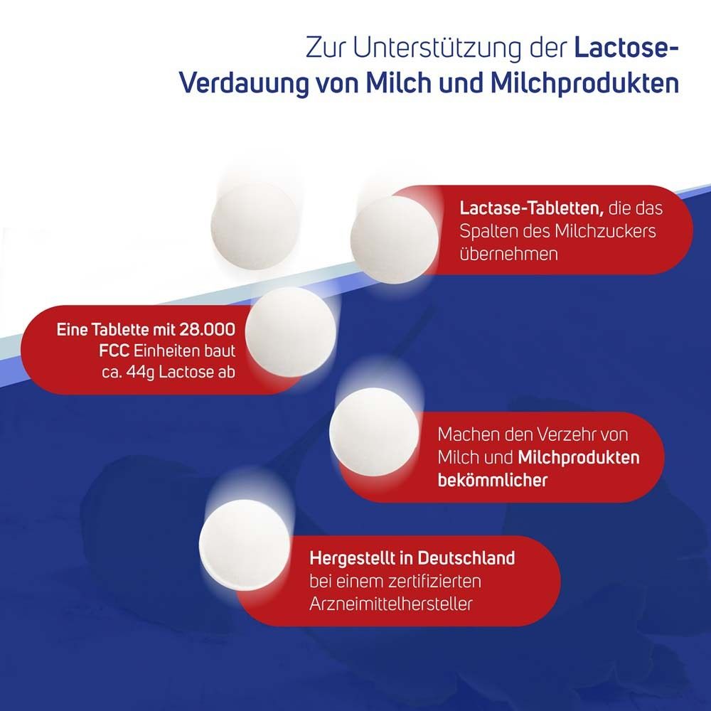 Avitale Lactase 28000 FCC