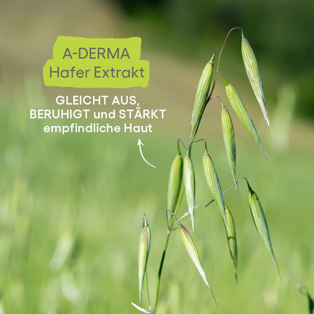 A-DERMA Hafer Extrakt. Ähren vor grünem Hintergrund. Text: Gleicht aus, beruhigt und stärkt empfindliche Haut.
