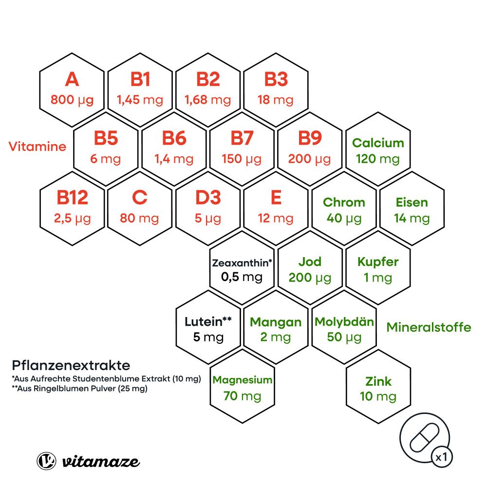 Grafik mit Vitaminen und Mineralstoffen. Enthält: Vitamin A, B1, B2, B3, B5, B6, B7, B9, B12, C, D3, E, Chrom, Eisen, etc.
