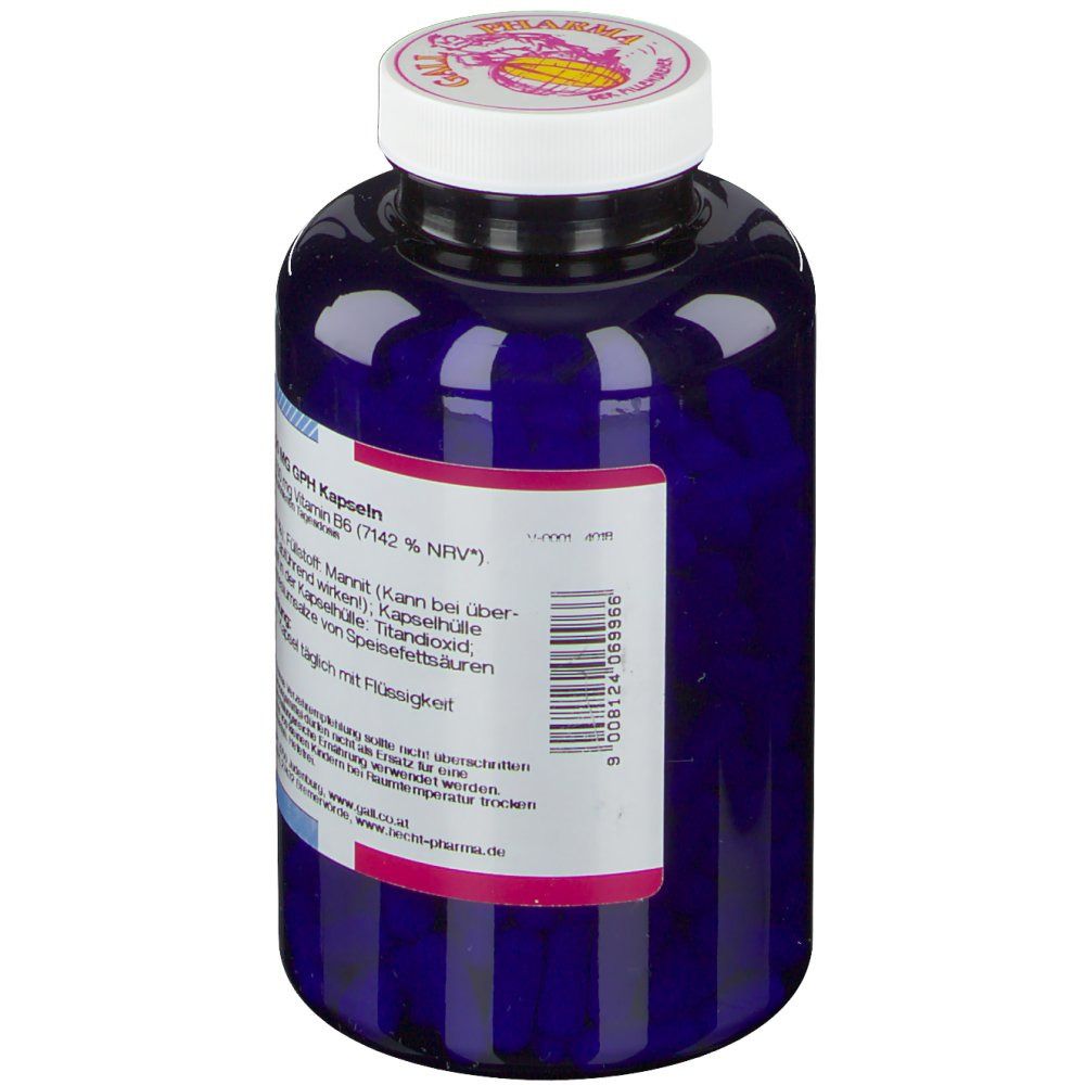 GALL PHARMA Vitamin B6 100 mg GPH