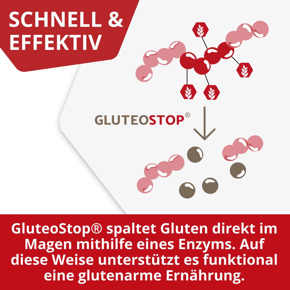 Grafische Darstellung des Enzymmechanismus von GluteoStop zum Abbau von Gluten.