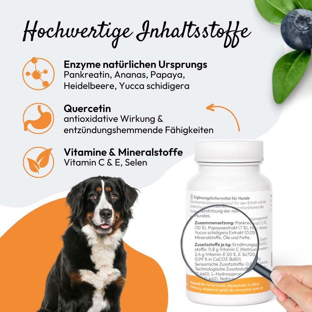 Hund frisst aus einem Napf, daneben eine Dose dogenzyme Darm.
