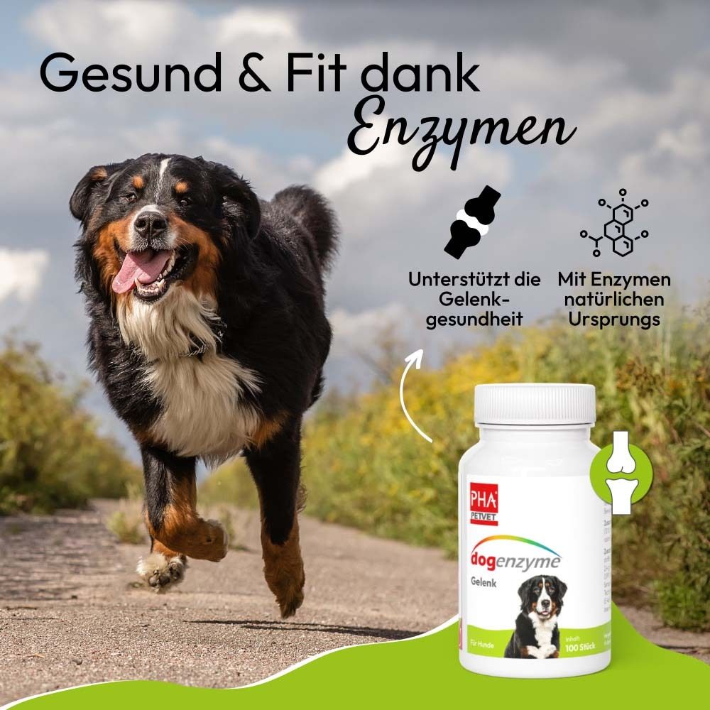 Hund rennt. Aufschrift: Gesund & Fit dank Enzymen. Logo PHA petvet. Flasche dogenzyme Gelenk.