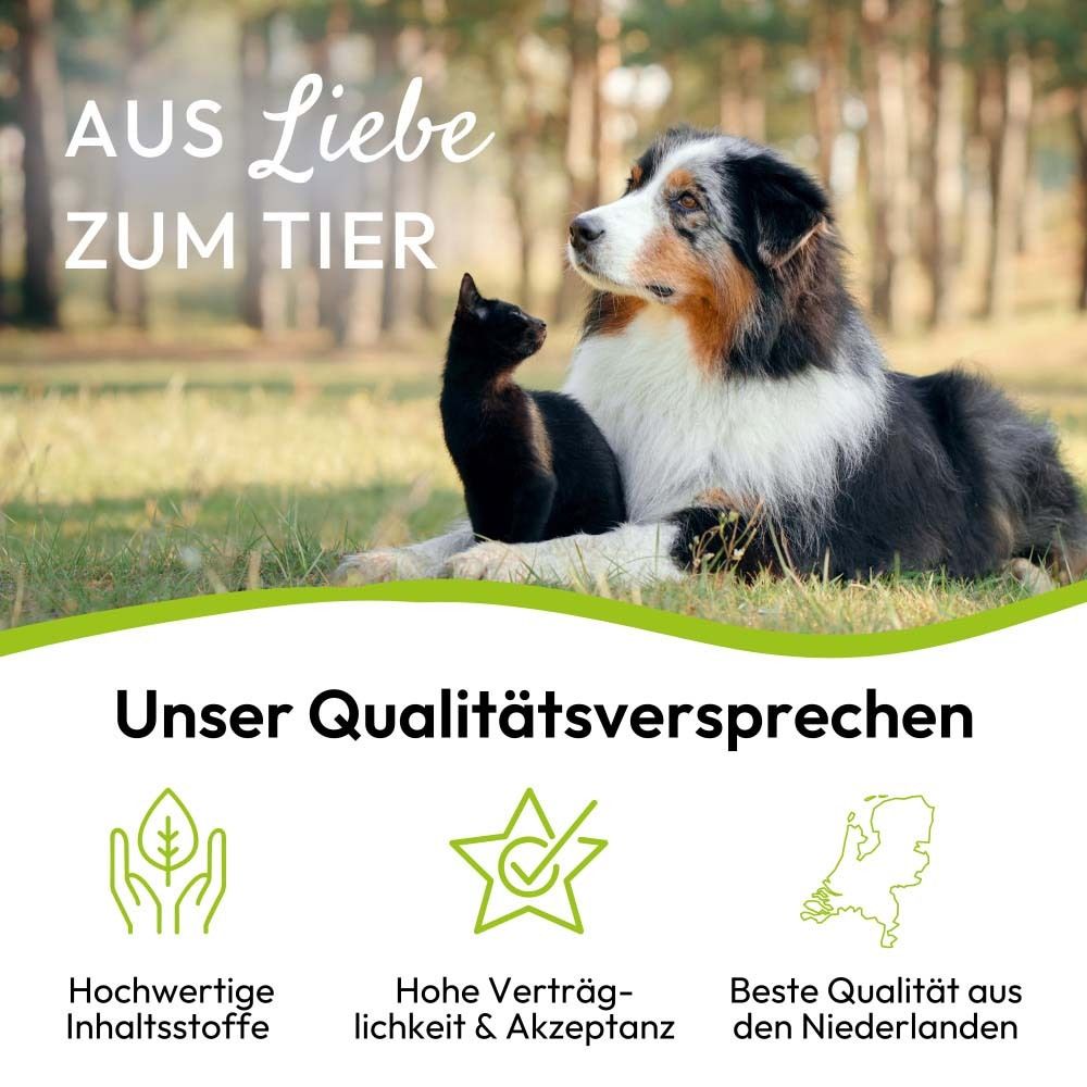 Hund und Katze liegen im Gras. Aufschrift: Aus Liebe zum Tier. Logo PHA petvet. Qualitätssiegel.