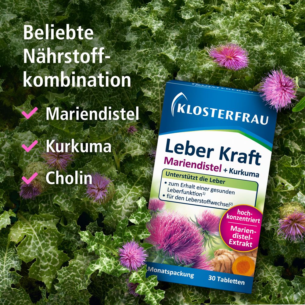 KLOSTERFRAU Leber Kraft Packung. Mariendistel, Kurkuma und Cholin. Produkt auf Pflanzenhintergrund.