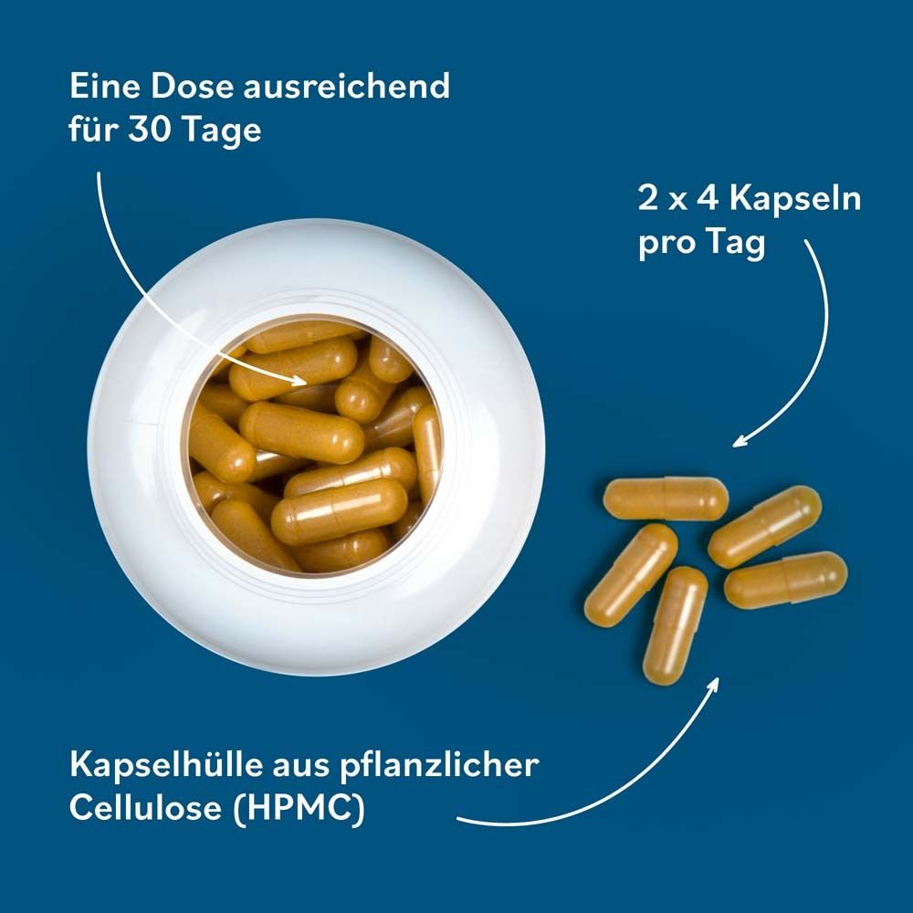 JAB Vitaxanthin Kapseln
