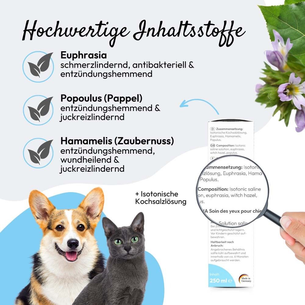 Produktinformationen mit Inhaltsstoffen. Lupe zeigt Text. Abgebildet sind ein Hund und eine Katze.
