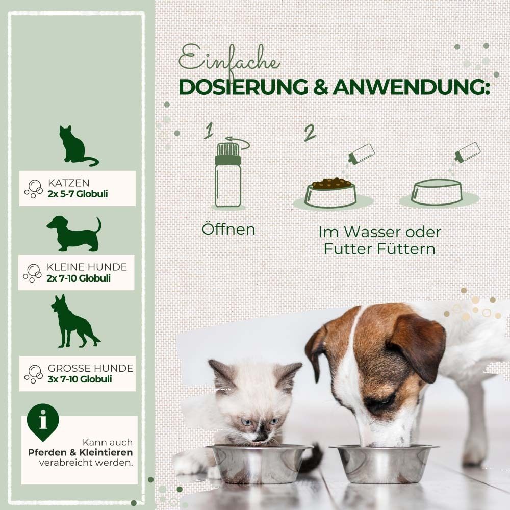 Grafik: Dosierung und Anwendung. Katzen, kleine Hunde, große Hunde. Öffnen, im Wasser oder Futter füttern.