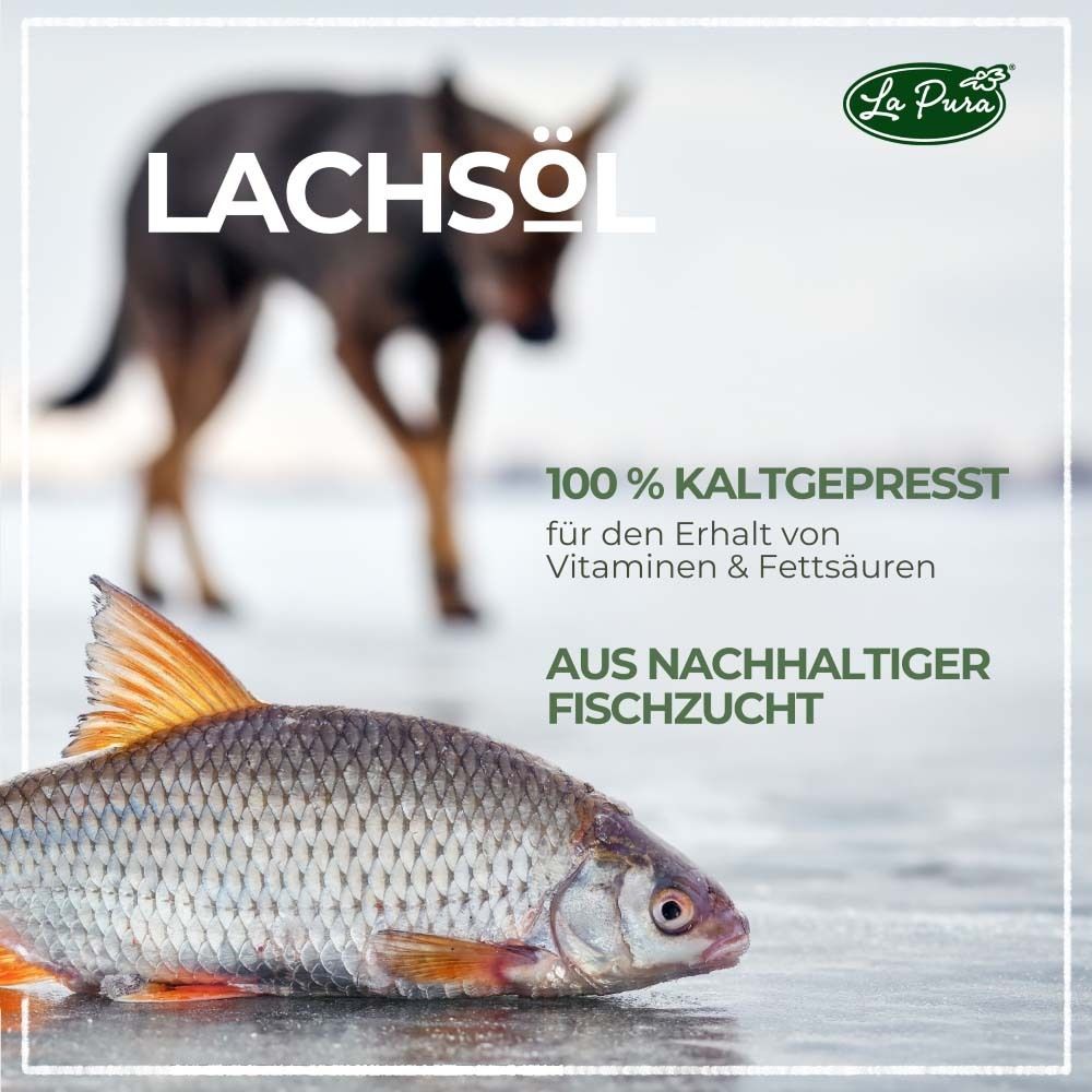 Fisch im Eis. Aufschrift: Lachsöl. 100% kaltgepresst. Aus nachhaltiger Fischzucht. Für Hunde, Katzen, Pferde.