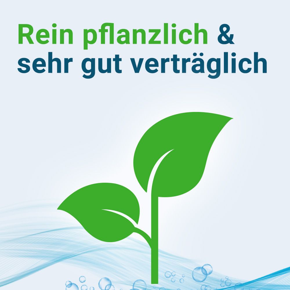 NYRAX® pflanzliche Nierentabletten zur Entwässerung