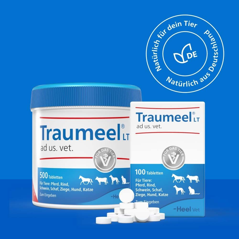 Traumeel® LT ad us. vet. Tabletten in Dose und Schachtel. 500 und 100 Tabletten. Für Tiere: Pferd, Rind, Schwein, Schaf, Ziege, Hund, Katze.