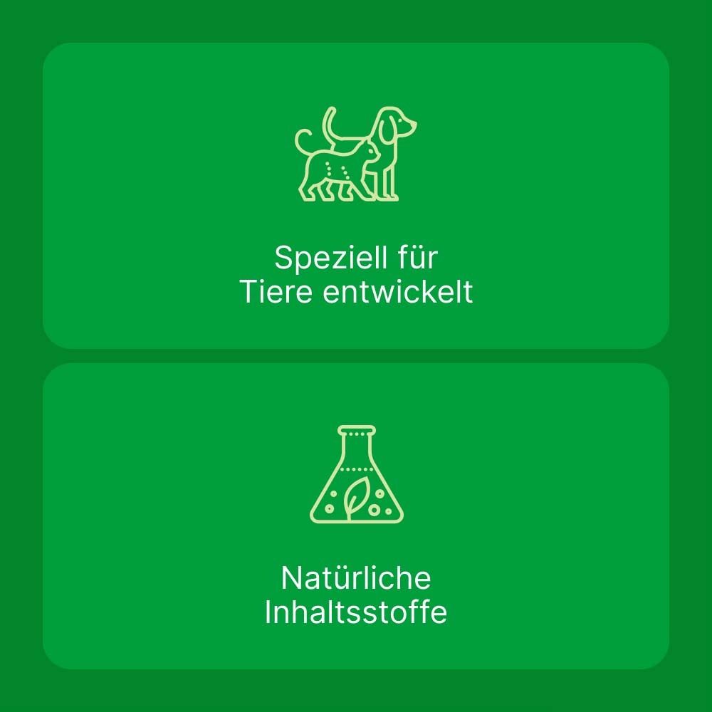 Grüner Hintergrund mit Symbolen. Text: Speziell für Tiere entwickelt. Natürliche Inhaltsstoffe.