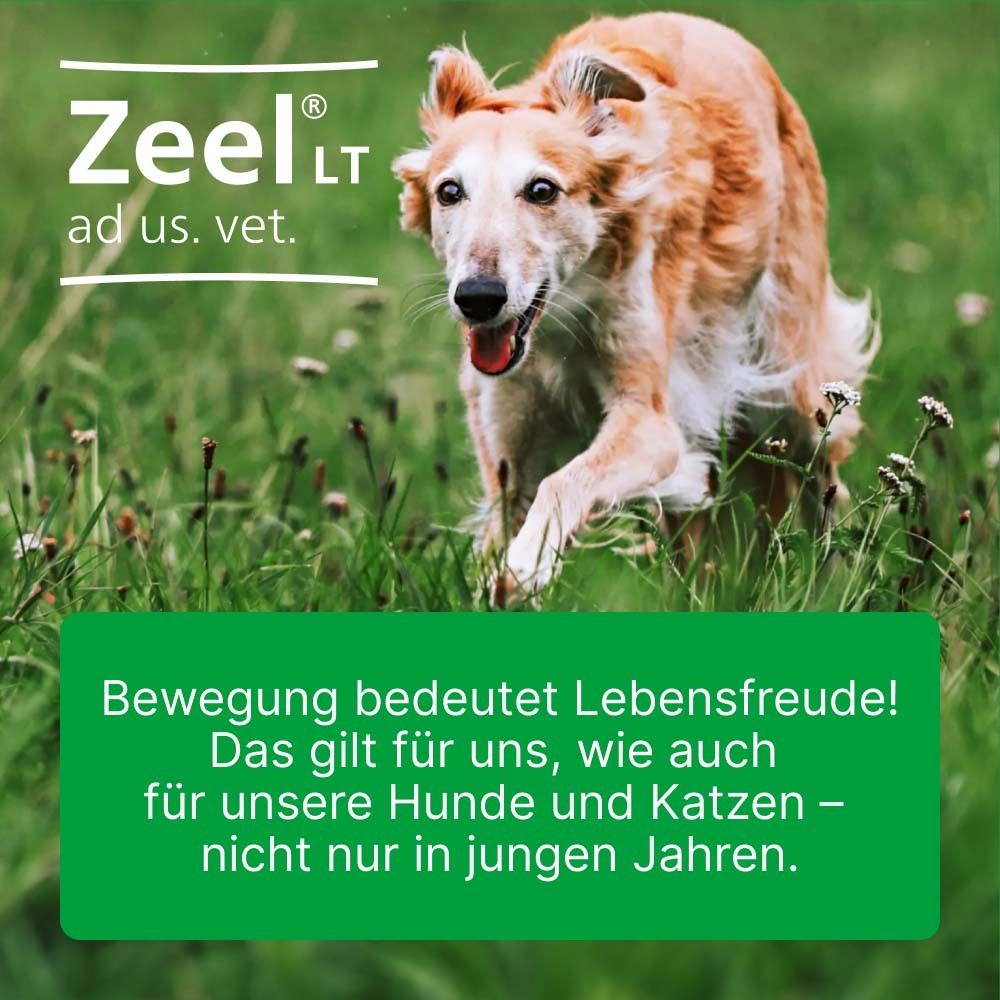 Hund rennt durch Gras. Text: Bewegung bedeutet Lebensfreude! Gilt für Hunde und Katzen.