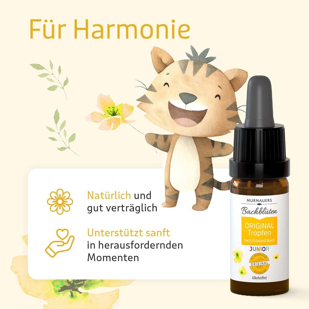 MURNAUERS original Tropfen nach Dr. Bach Junior