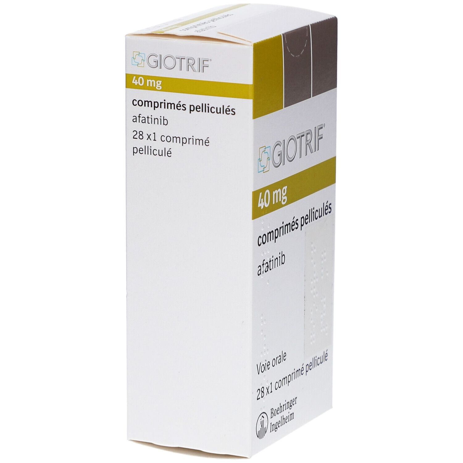 Schachtel mit GIOTRIF 40 mg Filmtabletten. Aufschrift: comprimés pelliculés, afatinib, 28 x 1 comprimé pelliculé.