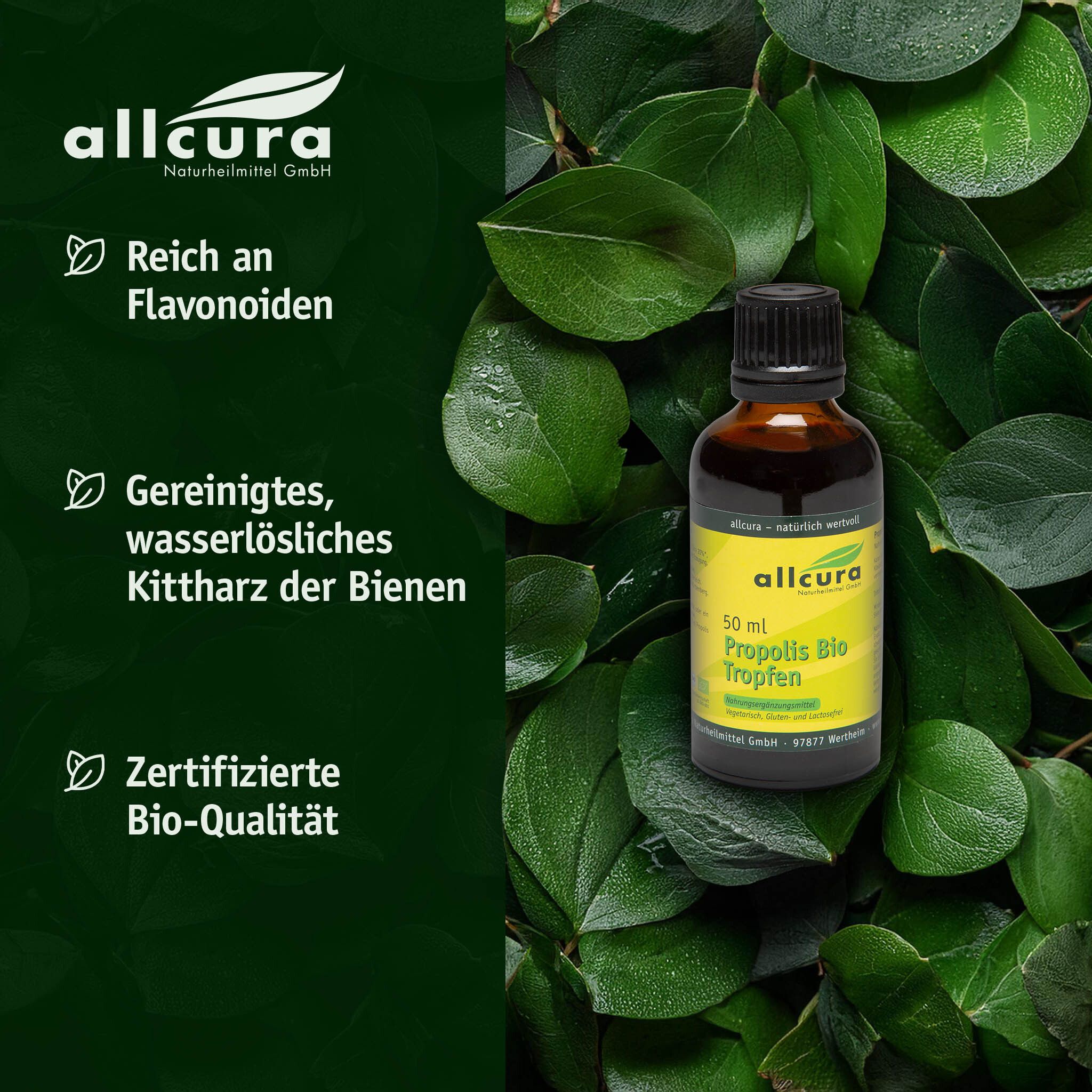 Braune Glasflasche mit schwarzem Deckel. Auf Blättern. Etikett mit Produktinformationen. allcura Propolis Bio Tropfen.