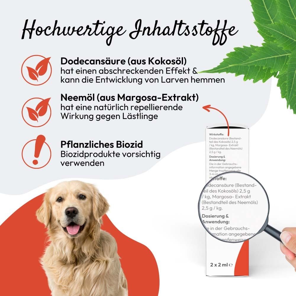 Vergrößerte Text- und Bildausschnitte. Text: Hochwertige Inhaltsstoffe. Text und Symbole zu Inhaltsstoffen.