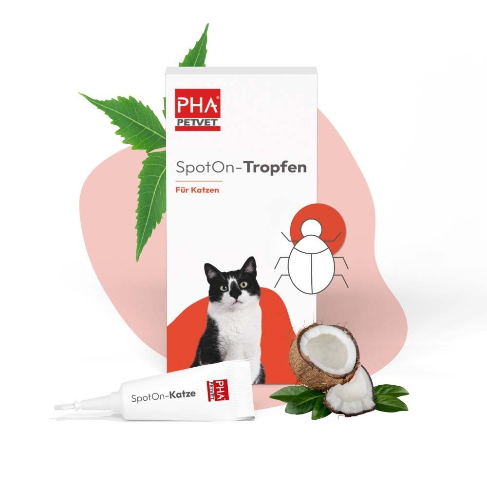 Produktverpackung und Tube mit Produktnamen und Logo. Abbildung einer Katze, Kokosnuss und Blätter.