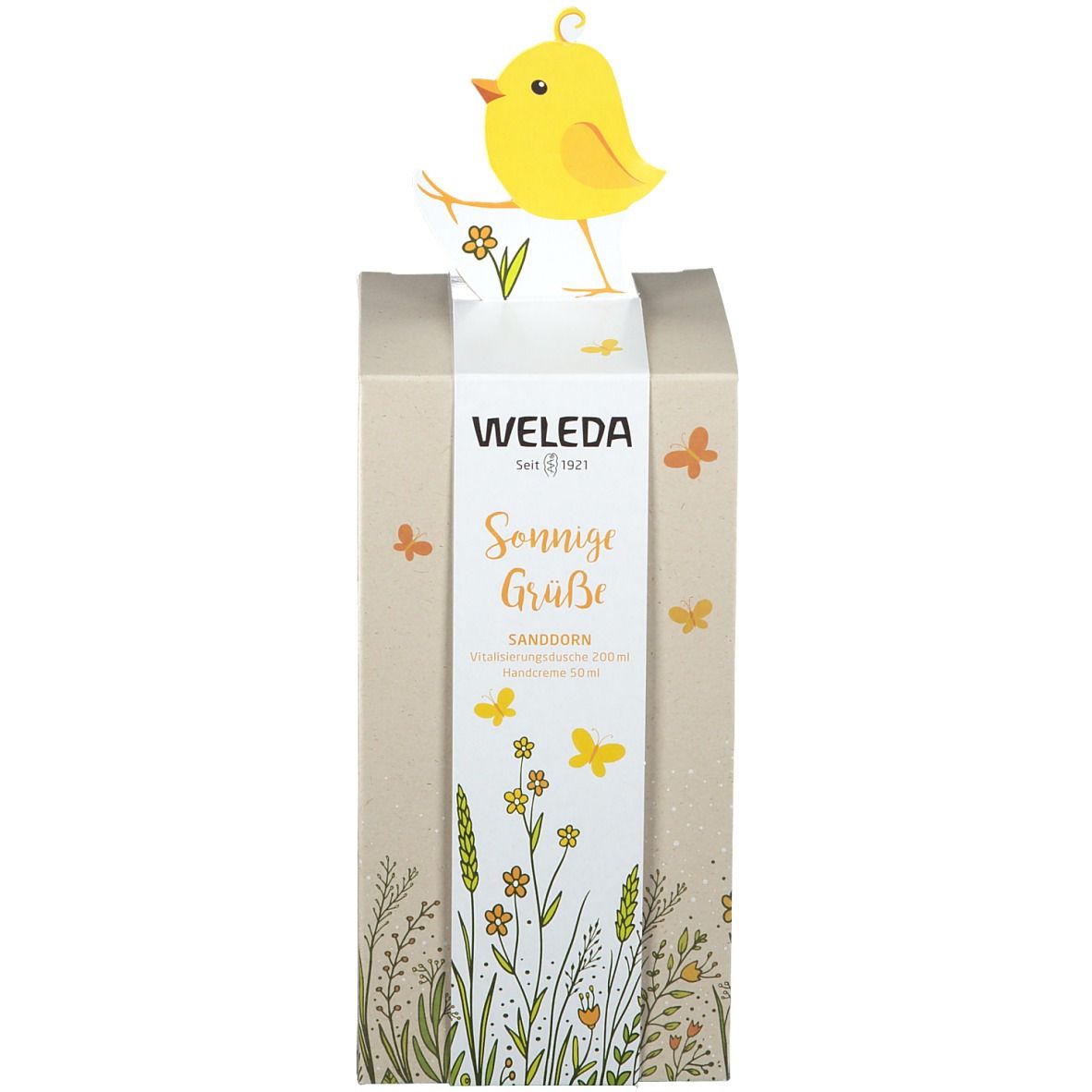 Pappschachtel mit Vogel-Dekoration. Aufschrift "Sonnige Grüße". Produkte nicht sichtbar.