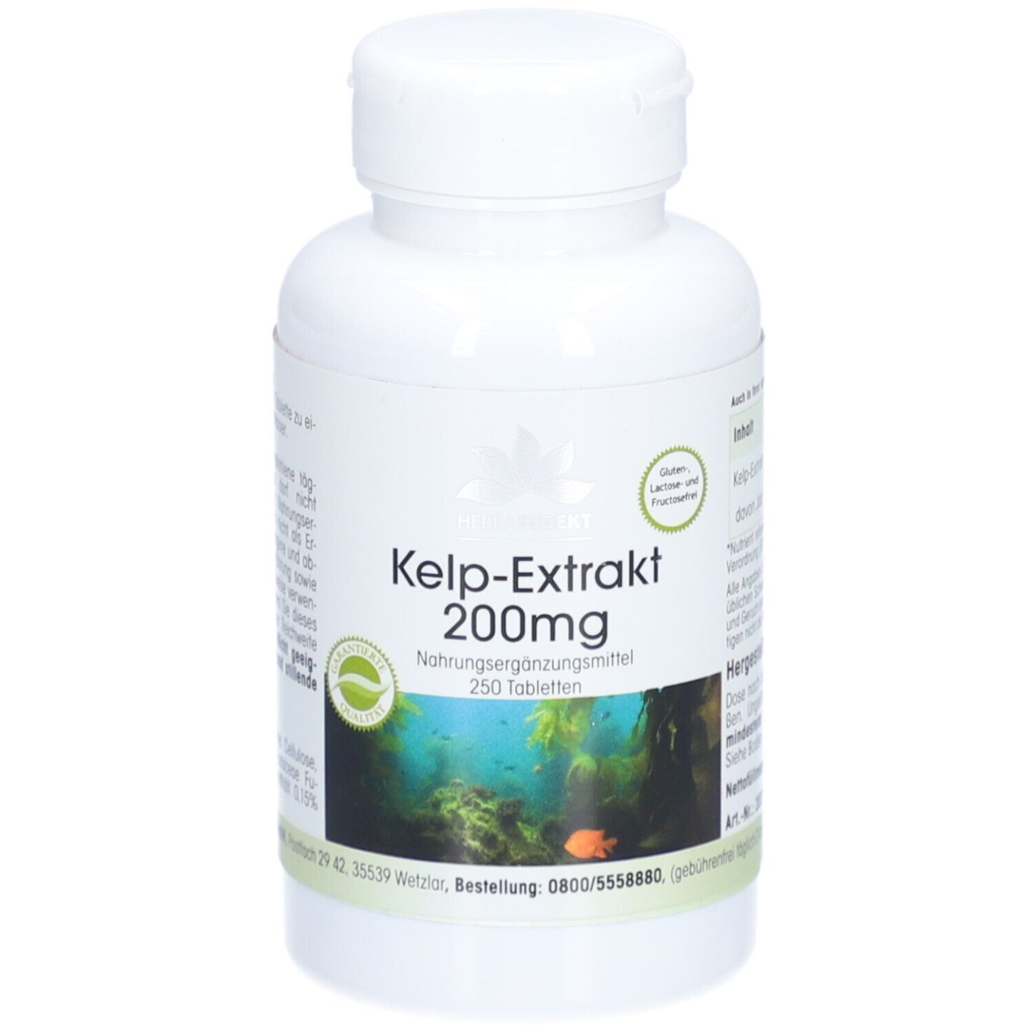 Weiße Flasche mit grünem Etikett. Kelp-Extrakt 200mg, 250 Tabletten. Mit Unterwasser-Motiv und Logo.